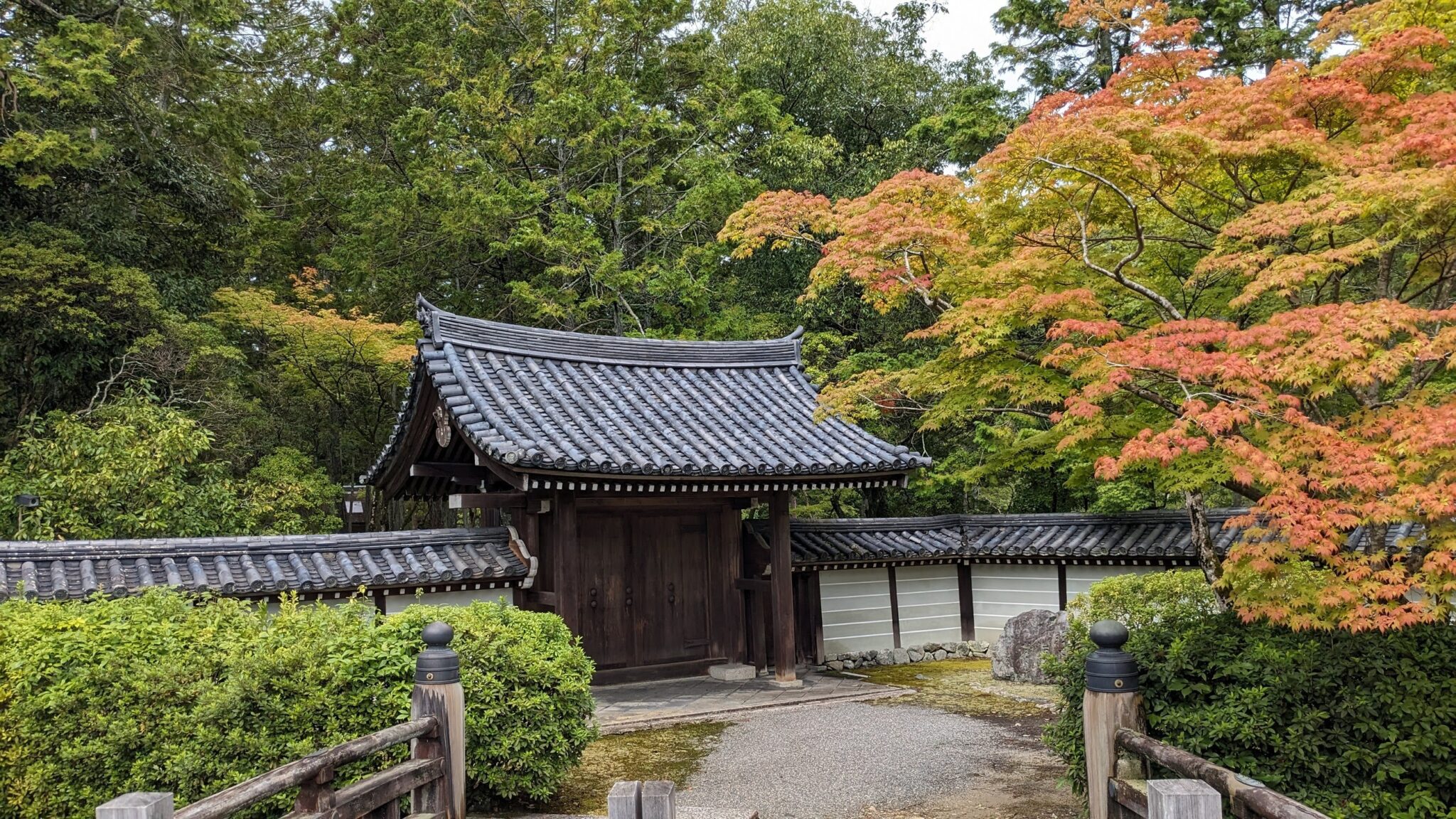 【京都・要事前予約の西芳寺(苔寺)】写経と美しい庭園で心を整える | ふわらふ