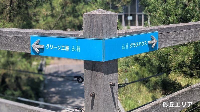 砂丘エリア