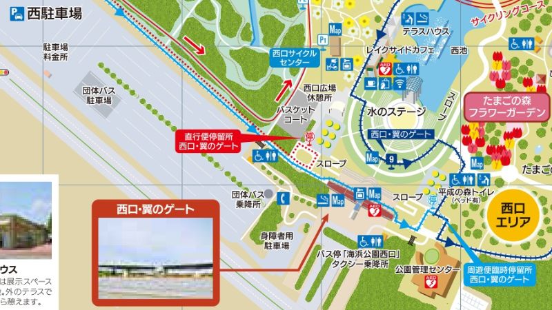 ひたち海浜公園パンフレット