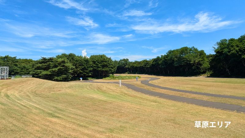 草原エリア