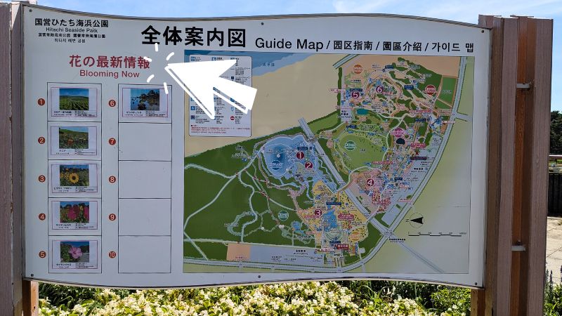 全体案内図