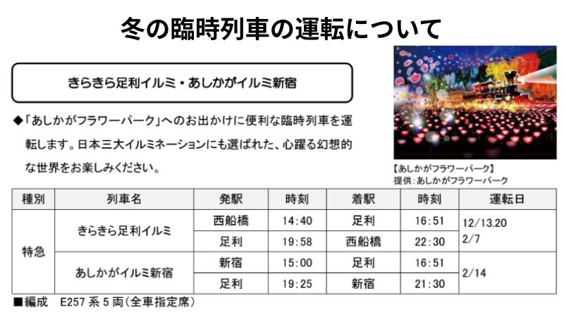 きらきら足利イルミ