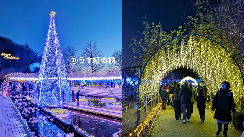 あしかがフラワーパーク園内