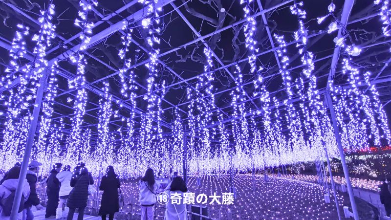 あしかがフラワーパーク園内