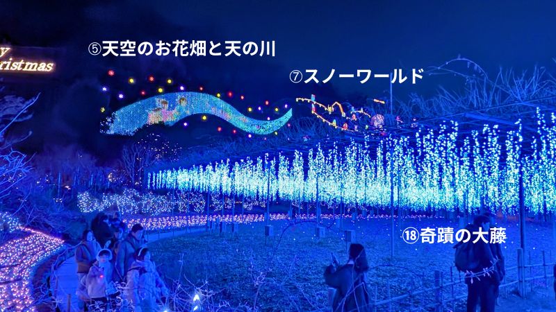 あしかがフラワーパーク園内