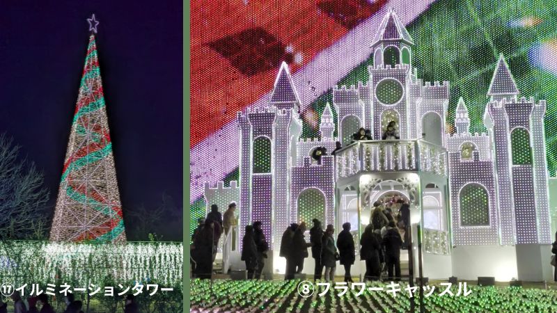 あしかがフラワーパーク園内