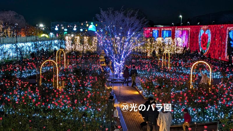 あしかがフラワーパーク園内