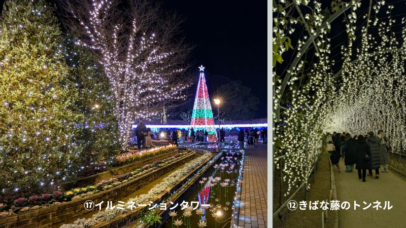 あしかがフラワーパーク園内