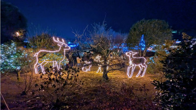 あしかがフラワーパーク園内