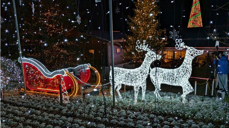 あしかがフラワーパーク園内