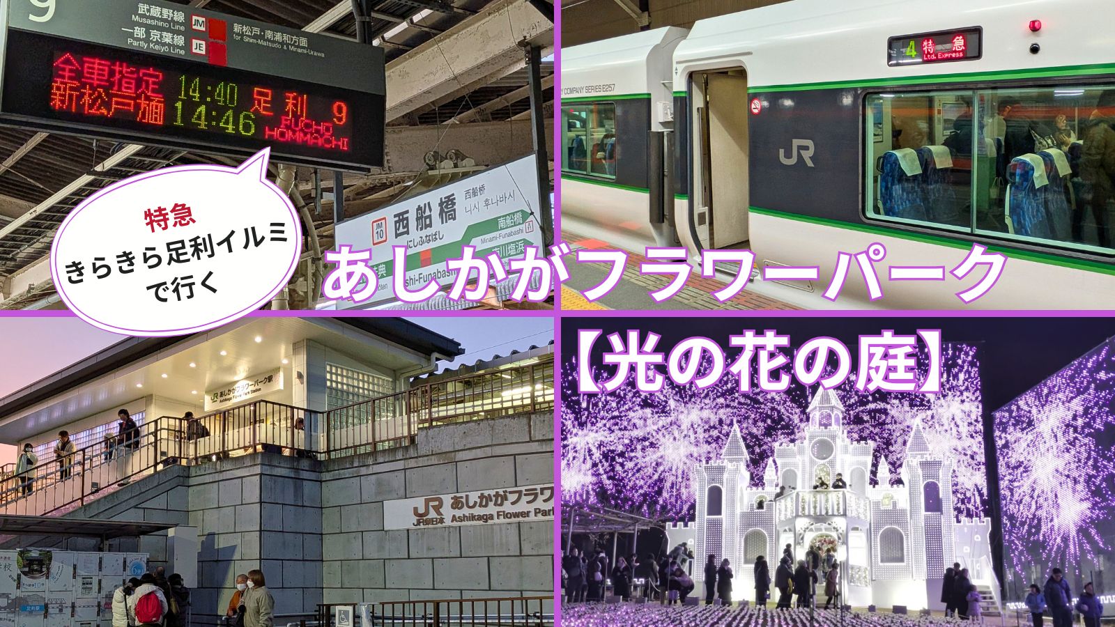 きらきら足利イルミで行くあしかがフラワーパーク